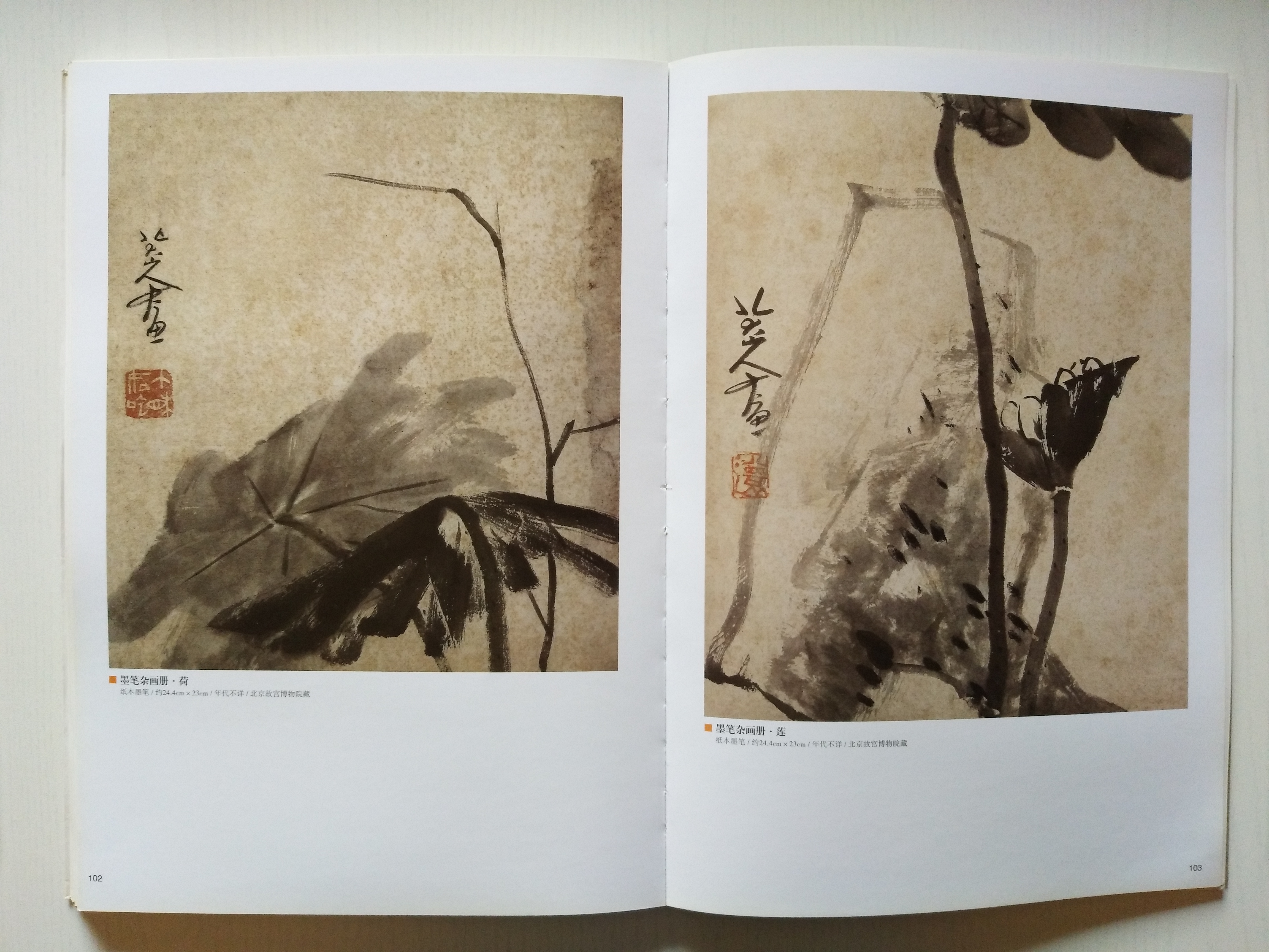 劉純:仰視清代中國(guó)寫意花鳥(niǎo)畫之巔峰者