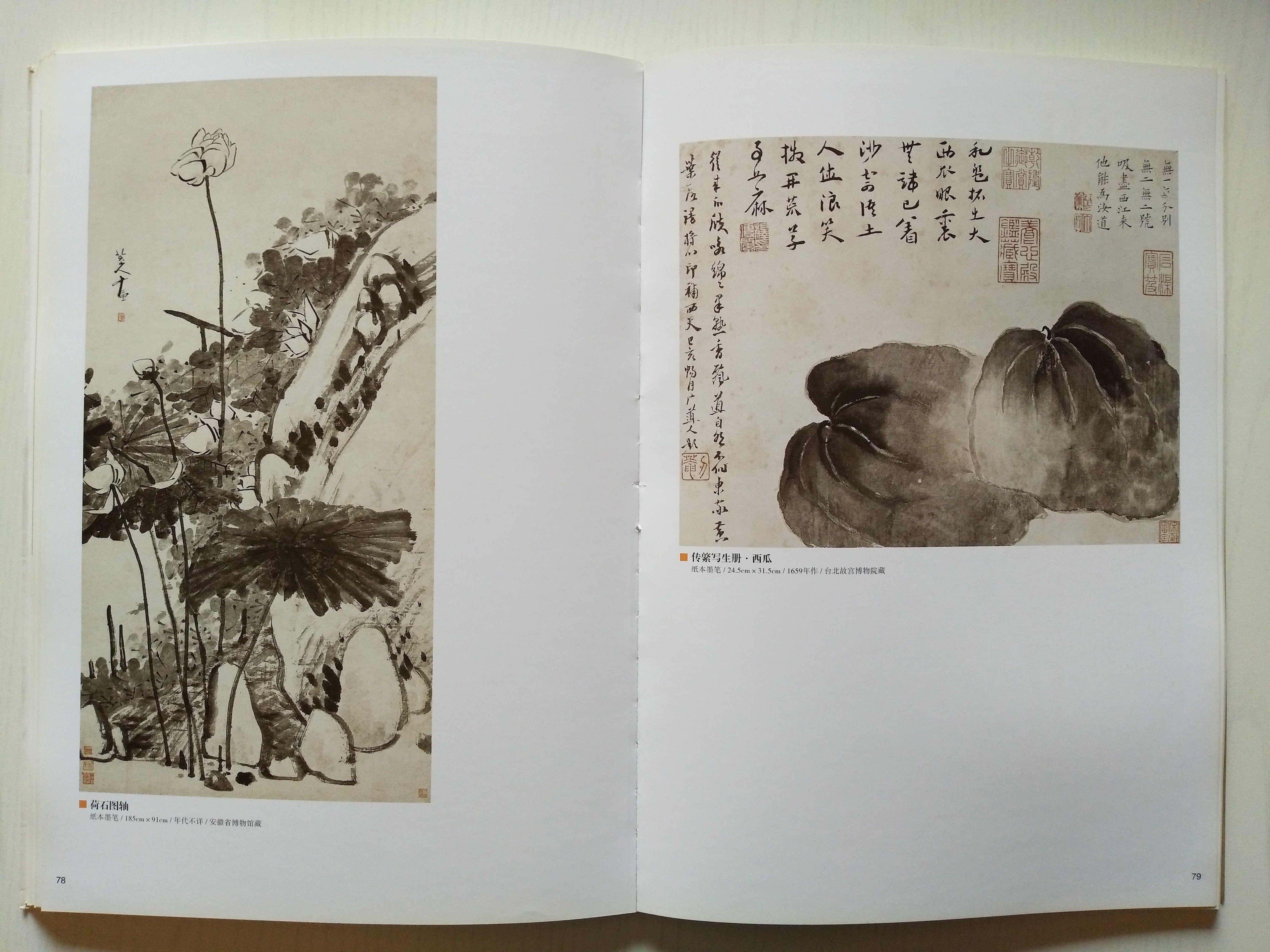 劉純:仰視清代中國(guó)寫意花鳥(niǎo)畫之巔峰者