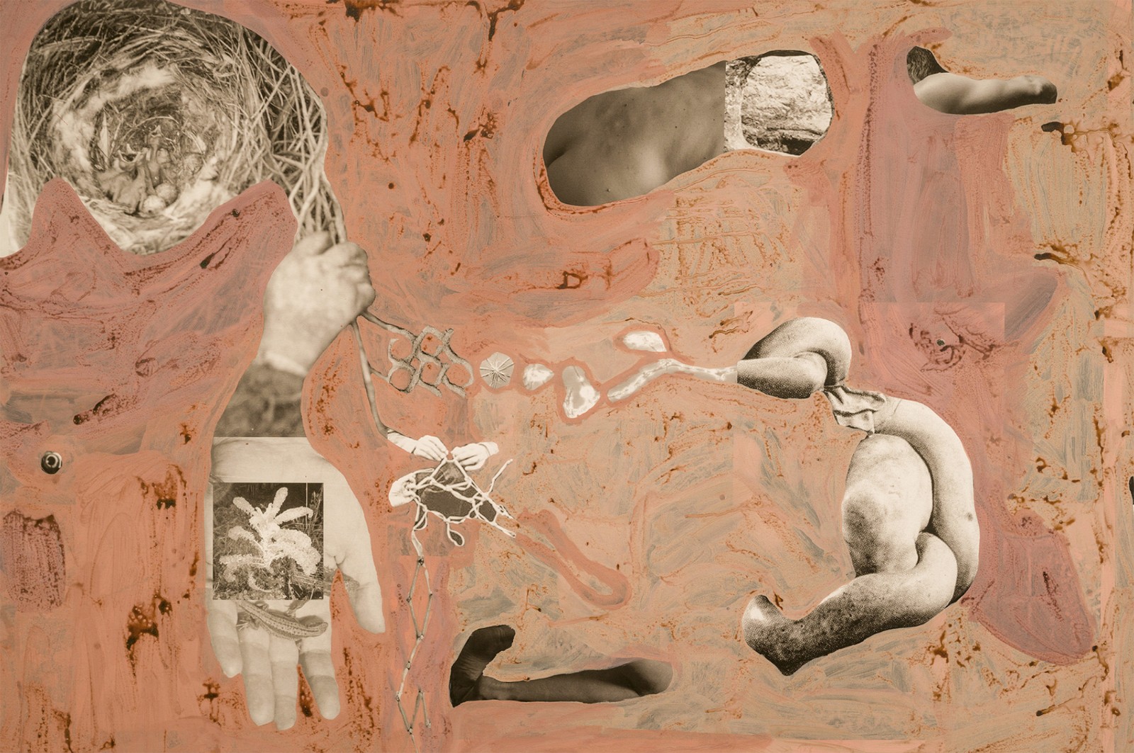 圖十二、《地勢 (關(guān)于時間，關(guān)于身體)》 (細(xì)節(jié)圖)，O?zlem Alt?n，2019